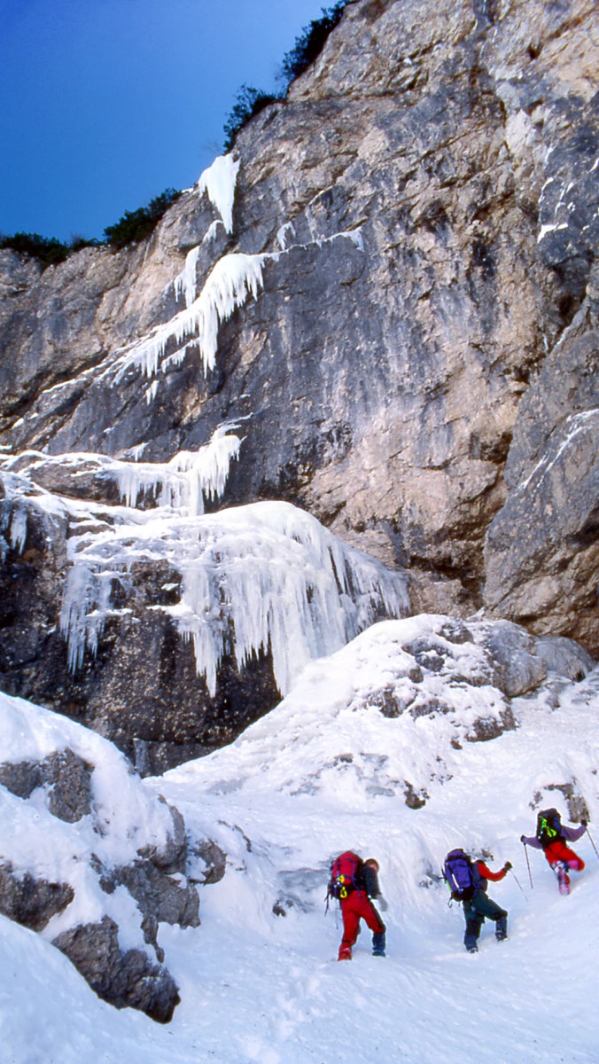 Super slap Kosobrin. Vir: Gregor Kresal